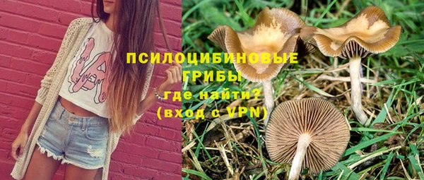 не бодяженный Красноперекопск