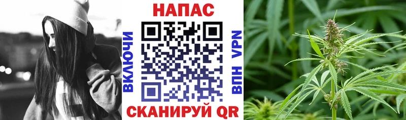 МАРИХУАНА SATIVA & INDICA  Купить  Кузнецк 